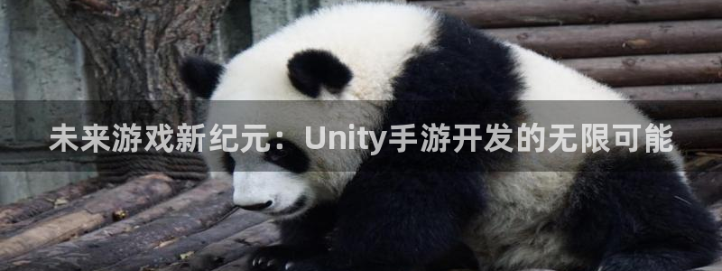 28大神开奖查询