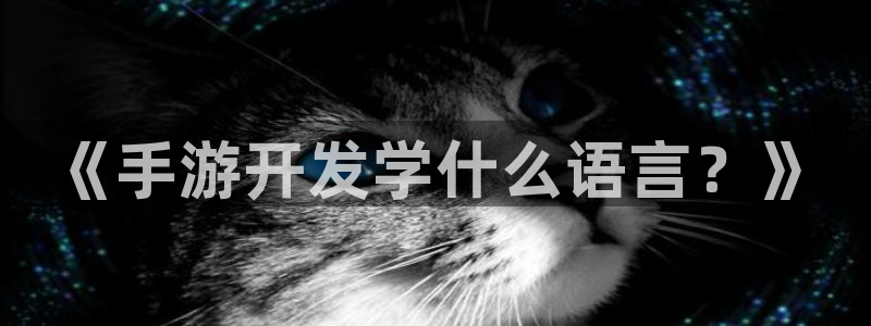 豪门国际论坛预测