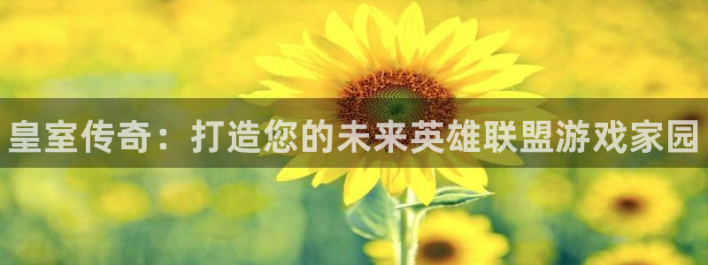 28大神预测官网