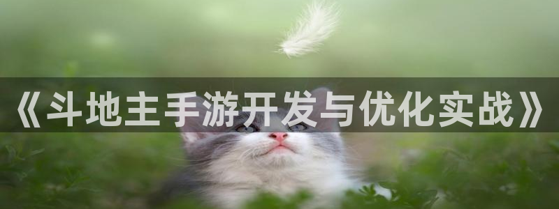 28大神预测群号