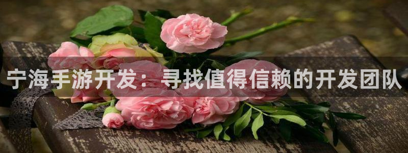 豪门国际开奖查询