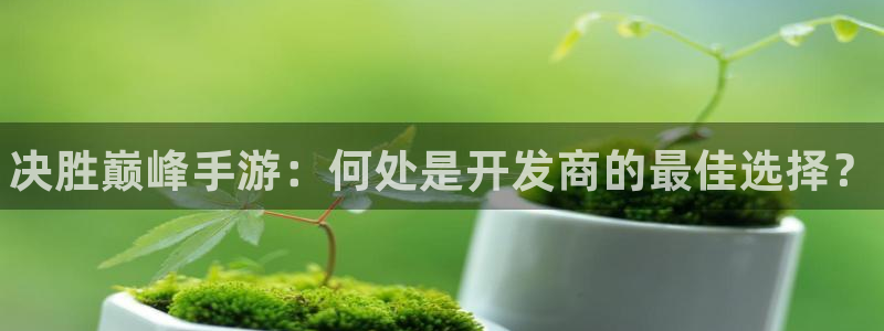 28大神开奖预测