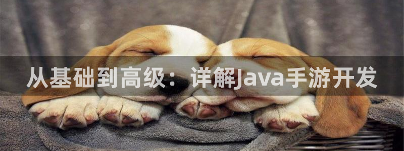 豪门国际大发28：从基础到高级：详解Java手游开发