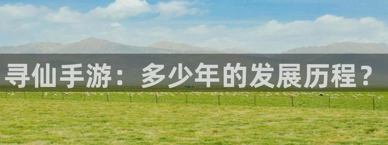 28大神官方下载ios：寻仙手游：多少年的发展历程？