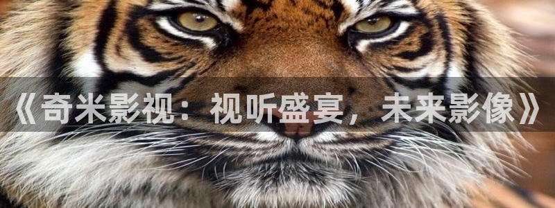皮特影院蜜桃：《奇米影视：视听盛宴，未来影像》